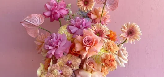 Bloom Where You’re Planted