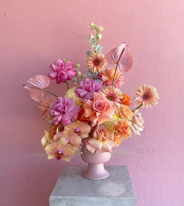 Bloom Where You’re Planted